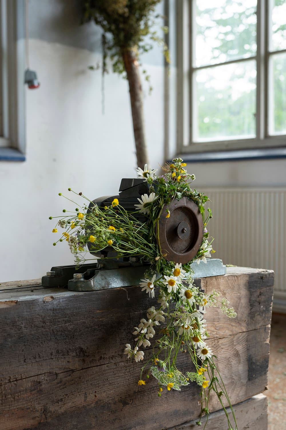 Close-up of Uprooted