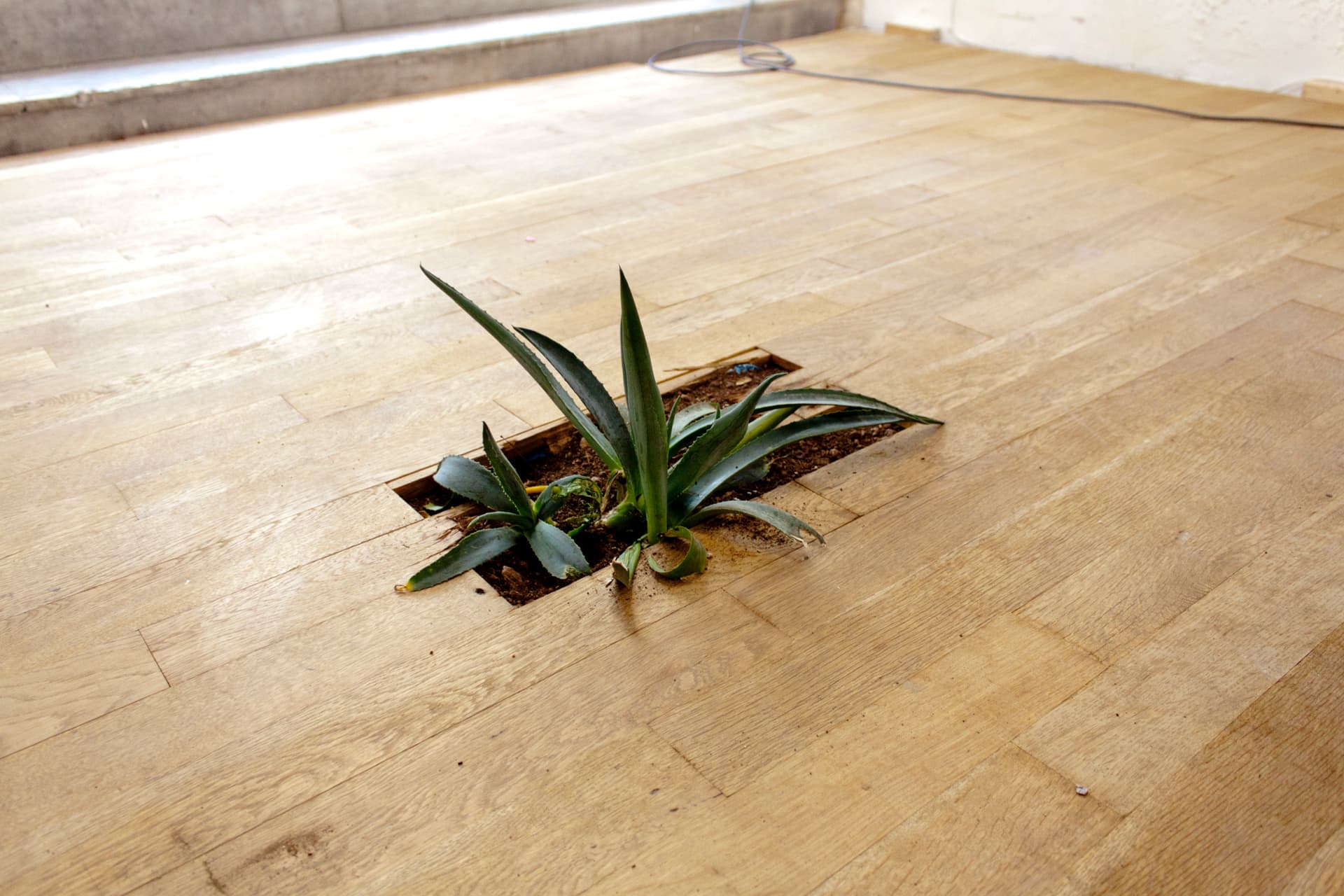 7jTIeJ0lbbun46FRdANujq